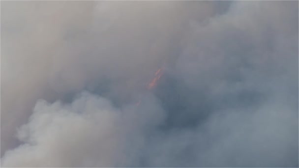 Δάσος Φωτιά Και Καπνός Πάνω Από Βουνό Κοντά Ελπίδα Κατά — Αρχείο Βίντεο