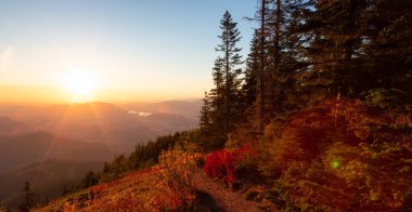 Güneşli günbatımında Sonbahar Renkleri ile Kanada Manzarası. Elk Dağı, Chilliwack, Vancouver 'ın doğusu, British Columbia, Kanada. Doğa Arkaplanı.