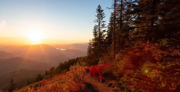 Kanadyjski Krajobraz Jesiennymi Kolorami Podczas Słonecznego Zachodu Słońca Elk Mountain — Zdjęcie stockowe