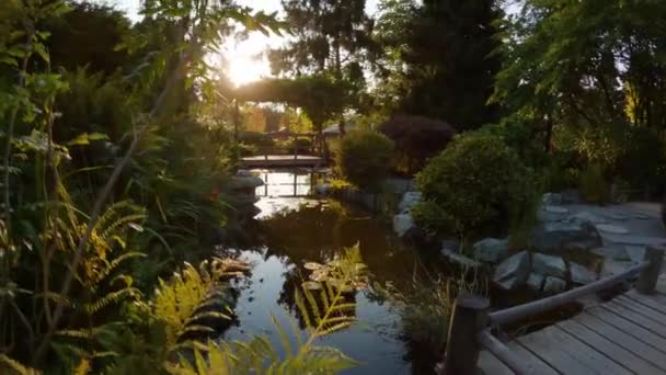 Japanese Garden Esquimalt Gorge Park Victoria Vancouver Island British Columbia — Vídeos de Stock