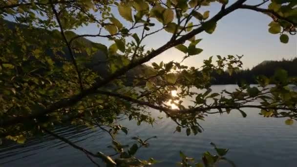 Solig Solnedgång Över Kanadensiska Naturlandskap Hicks Lake Sasquatch Provincial Park — Stockvideo