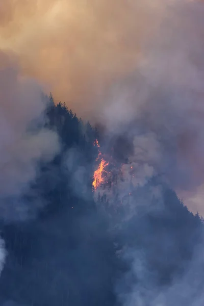 Лесной Пожар Дым Над Горой Возле Надежды Жаркий Летний День — стоковое фото