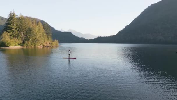 Adventurous Woman Paddling Paddle Board Peaceful Lake Sunny Sunset Hicks — Stock Video