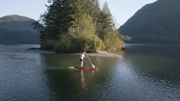 Adventurous Woman Paddling Paddle Board Peaceful Lake Sunny Sunset Hicks — Stock Video