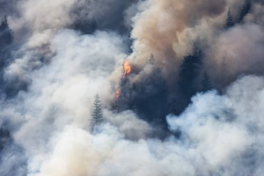 BC Orman Ateşi ve Duman, sıcak ve güneşli bir yaz gününde Umut 'un yakınındaki dağın üzerinde. British Columbia, Kanada. Vahşi yangın doğal afet