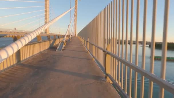 Voetgangers Fietspad Golden Ears Bridge Fraser River Zonsondergang Hemel Pitt — Stockvideo