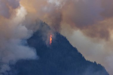BC Orman Ateşi ve Duman, sıcak ve güneşli bir yaz gününde Umut 'un yakınındaki dağın üzerinde. British Columbia, Kanada. Vahşi yangın doğal afet