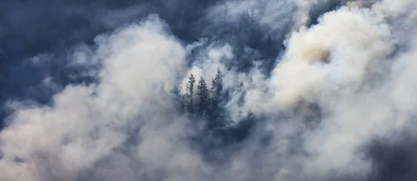 Orman Ateşi Duman Sıcak Güneşli Bir Yaz Gününde Umut Yakınındaki — Stok fotoğraf