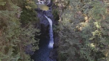 Taze su Kanada Doğa 'sında kayaların etrafından dökülüyor. Lynn Vadisi Kanyonları, Kuzey Vancouver, British Columbia, Kanada. 4k Sinema Yavaş Hareketi