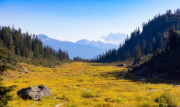 Árvores Rochas Paisagem Montanhosa Canadense Temporada Outono Ensolarado Brandywine Meadows — Fotografia de Stock