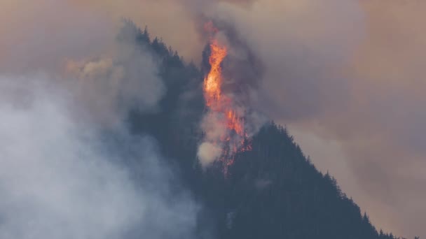 在阳光明媚的炎炎炎夏日 不列颠哥伦比亚省森林大火和烟雾笼罩着希望附近的高山 不列颠哥伦比亚省 加拿大 野火自然灾害 慢动作 — 图库视频影像