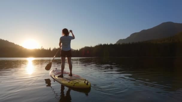 冒险的女人在平静的湖中的木板上爬行 夕阳西下Hicks Lake Sasquatch Provincial Park Harrison Hot Springs British — 图库视频影像