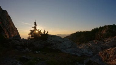Rocky yolu ve Kanada Dağları 'nın tepesindeki ağaçlar. Güneşli Günbatımı Gökyüzü. Vancouver, British Columbia, Kanada yakınlarındaki Seymour Dağı 'nın tepesinde. Doğa Arkaplanı