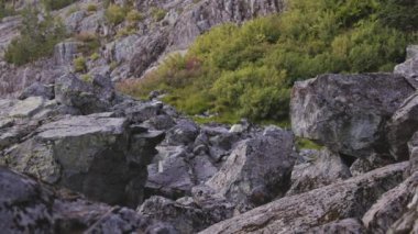 Rocky Arazisi Kanada Dağ Manzarası 'nın tepesinde. İyi akşamlar. Vancouver, British Columbia, Kanada yakınlarındaki Seymour Dağı 'nın tepesinde. Doğa Arkaplanı