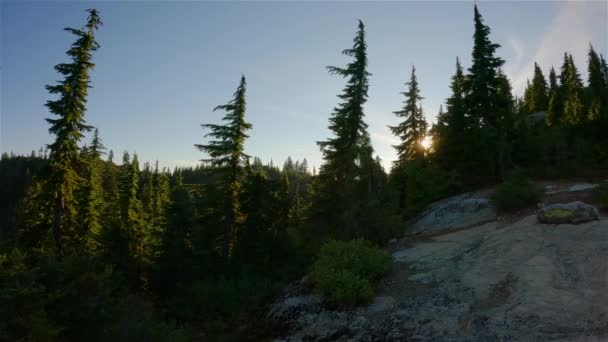 Żywe Zielone Drzewa Szczycie Kanadyjskiego Krajobrazu Górskiego Sunny Sunset Sky — Wideo stockowe