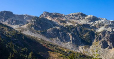 Kanada Dağ Manzarası 'ndaki Ağaçlar ve Kayalar. Sunny Fall sezonu. Whistler ve Squamish yakınlarındaki Brandywine Meadows, British Columbia, Kanada. Doğa Arkaplanı