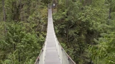 Kanyon üzerindeki asma köprü ve şelale ile Kanada doğasında orman ve ağaçlar. Lynn Vadisi, Kuzey Vancouver, British Columbia, Kanada. Yavaş Hareket