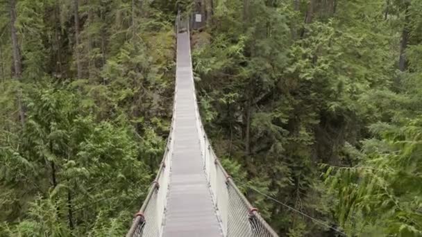 Αναστολή Γέφυρα Πάνω Από Φαράγγι Και Καταρράκτη Δάσος Και Δέντρα — Αρχείο Βίντεο