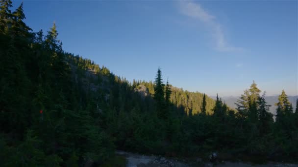 Živé Zelené Stromy Vrcholu Kanadské Horské Krajiny Sunny Sunset Sky — Stock video