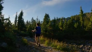 Maceracı Kadın Yürüyüşçü Kanada Dağları 'nın tepesinde ağaçlarla yürüyüş yapıyor. Sunny Evening Sunset 'ten önce. Vancouver, British Columbia, Kanada yakınlarındaki Seymour Dağı 'nın tepesinde. Macera Yolculuğu Konsepti