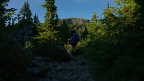 Mujer Aventurera Senderismo Cima Del Paisaje Montaña Canadiense Con Árboles — Vídeos de Stock