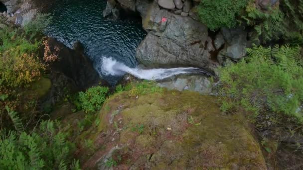 캐나다 자연에서는 흐르는 주위로 떨어집니다 밴쿠버 브리티시컬럼비아주 캐나다 슬로우 — 비디오