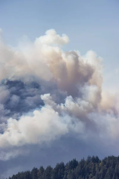 Forest Fire Smoke Mountain Hope Hot Sunny Summer Day British — Stock Photo, Image