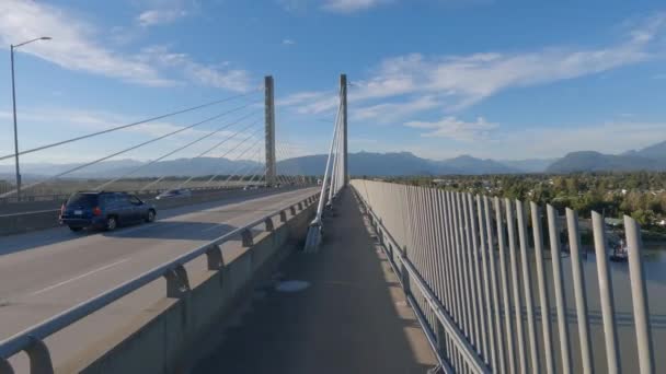 Πεζόδρομος Και Ποδηλατικό Μονοπάτι Στη Γέφυρα Golden Ears Πάνω Από — Αρχείο Βίντεο