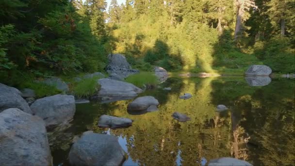 Kanada Dağları Nın Tepesinde Göl Canlı Yeşil Ağaçlar Güneşli Günbatımı — Stok video