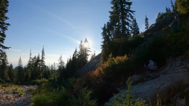 Kanada Dağları Nın Tepesinde Canlı Yeşil Ağaçlar Güneşli Günbatımı Gökyüzü — Stok video