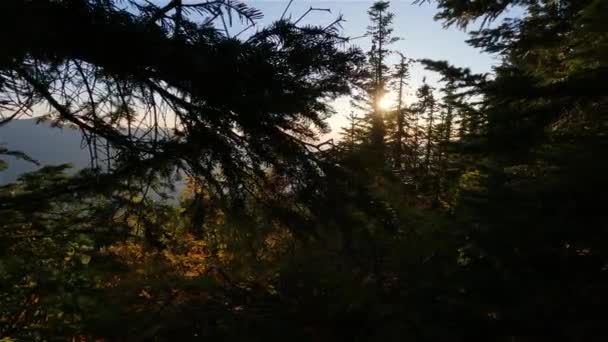 Kanadská Krajina Podzimními Barvami Během Slunečného Západu Slunce Elk Mountain — Stock video