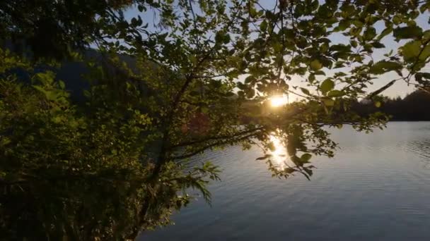 Sunny Sunset Sobre Paisaje Natural Canadiense Hicks Lake Sasquatch Provincial — Vídeo de stock