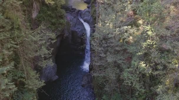 Färskvatten Rinner Ner Vattnet Faller Runt Stenar Kanadensisk Natur Lynn — Stockvideo