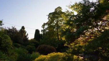 Japanese Garden in Esquimalt Gorge Park, Victoria, Vancouver Island, British Columbia, Canada. Sunny Summer Sunset.