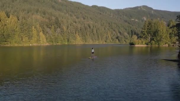 Abenteuerlustige Frau Paddelt Auf Einem Paddelbrett Einem Ruhigen See Sonniger — Stockvideo