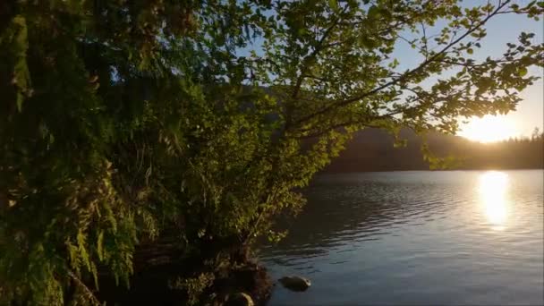 Sunny Sunset Sobre Canadian Nature Landscape Hicks Lake Sasquatch Provincial — Vídeo de Stock