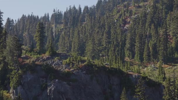 Alberi Rocce Nel Paesaggio Montano Canadese Stagione Autunnale Soleggiata Brandywine — Video Stock