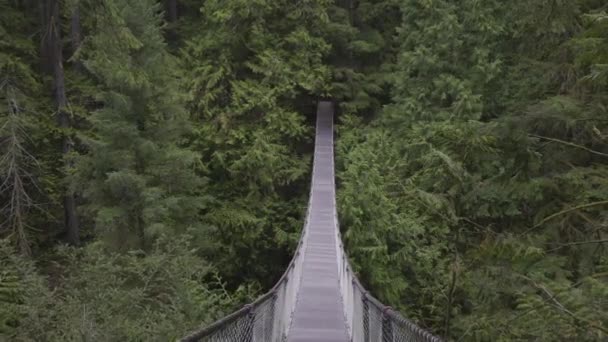Hängebrücke Über Den Canyon Und Wasserfall Mit Wald Und Bäumen — Stockvideo