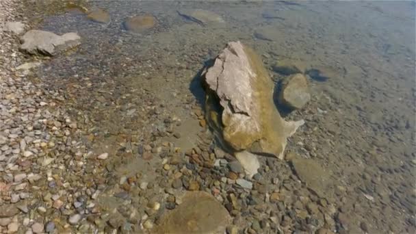 Solig Dag Över Kanadensiska Naturen Landskap Hicks Lake Sasquatch Provincial — Stockvideo