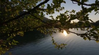 Kanada Doğa Manzarası 'nın üzerinde güneşli bir gün batımı. Hicks Lake, Sasquatch İl Parkı Harrison Hot Springs, British Columbia, Kanada yakınlarında. Geçmişi. Yavaş Hareket