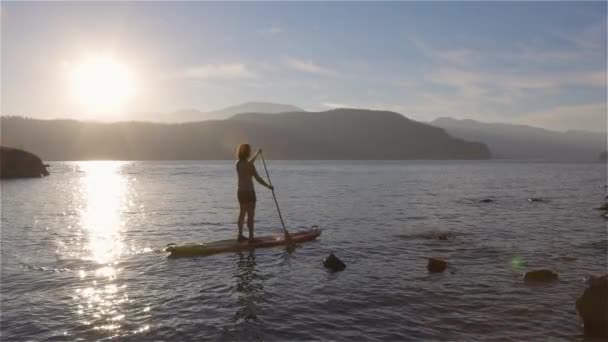Femme Aventureuse Pagayant Sur Une Planche Pagaie Dans Lac Paisible — Video