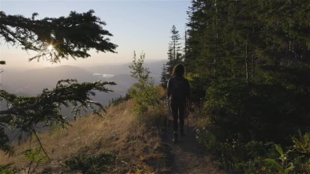 Adventurous Woman Hiking Canadian Landscape Fall Colors Sunny Sunset Elk — Stock Video