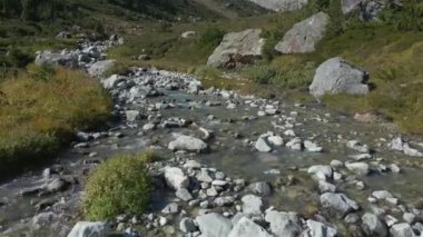 Kanada Dağ Manzarası 'nda yeşil ağaçları olan nehir ve şelale. Whistler ve Squamish yakınlarındaki Brandywine Meadows, British Columbia, Kanada. Doğa Arkaplanı. Hava Sineması