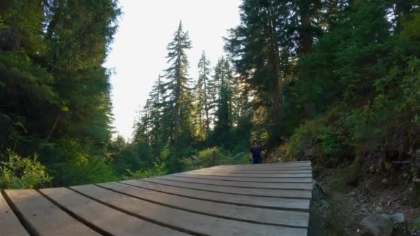 Maceracı Kadın Yürüyüşçü Kanada Dağları Nın Tepesinde Ağaçlarla Yürüyüş Yapıyor — Stok video