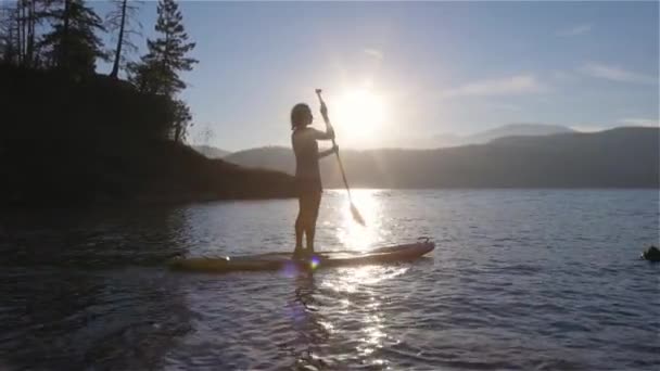 Adventuroso Mulher Remo Tabuleiro Remo Lago Tranquilo Sunny Sunset Harrison — Vídeo de Stock