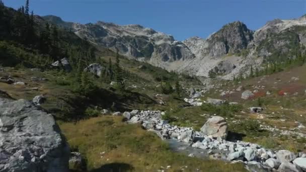 カナダの山の風景の緑の木と川と滝 ウィスラーとスカミッシュ ブリティッシュコロンビア州 カナダの近くのブランデーワインメドウズ 自然背景 空中映画 — ストック動画