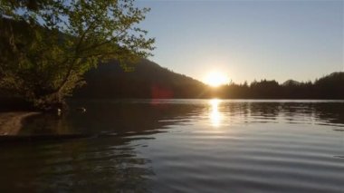 Kanada Doğa Manzarası 'nın üzerinde güneşli bir gün batımı. Hicks Lake, Sasquatch İl Parkı Harrison Hot Springs, British Columbia, Kanada yakınlarında. Geçmişi. Yavaş Hareket