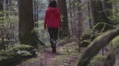 Lynn Canyon Parkı, Kuzey Vancouver, British Columbia, Kanada 'da kadın yürüyüşçü. Yağmur Ormanları 'nda Tahta Yürüyüş Yolu. Sunny Fall sezonu. Macera Yolculuğu. Yavaş Hareket