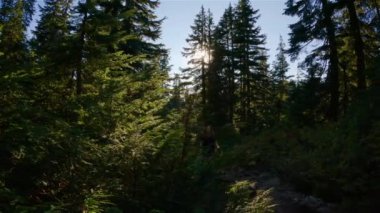 Maceracı Kadın Yürüyüşçü Kanada Dağları 'nın tepesinde ağaçlarla yürüyüş yapıyor. Sunny Evening Sunset 'ten önce. Vancouver, British Columbia, Kanada yakınlarındaki Seymour Dağı 'nın tepesinde. Macera Yolculuğu Konsepti