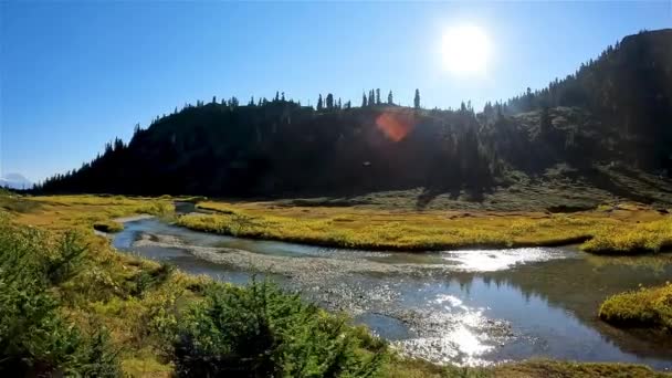 River Vibrant Green Trees Canadian Mountain Landscape Temporada Otoño Soleado — Vídeo de stock